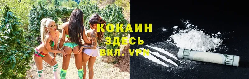 COCAIN FishScale  Лабытнанги 