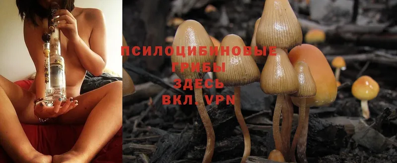 блэк спрут ТОР  купить наркотик  Лабытнанги  Псилоцибиновые грибы MAGIC MUSHROOMS 